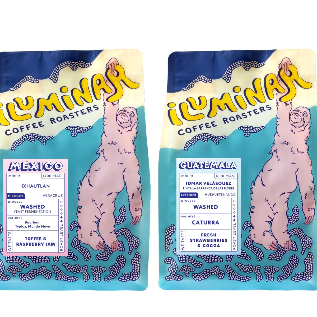 Iluminar — brand identity system across touchpoints