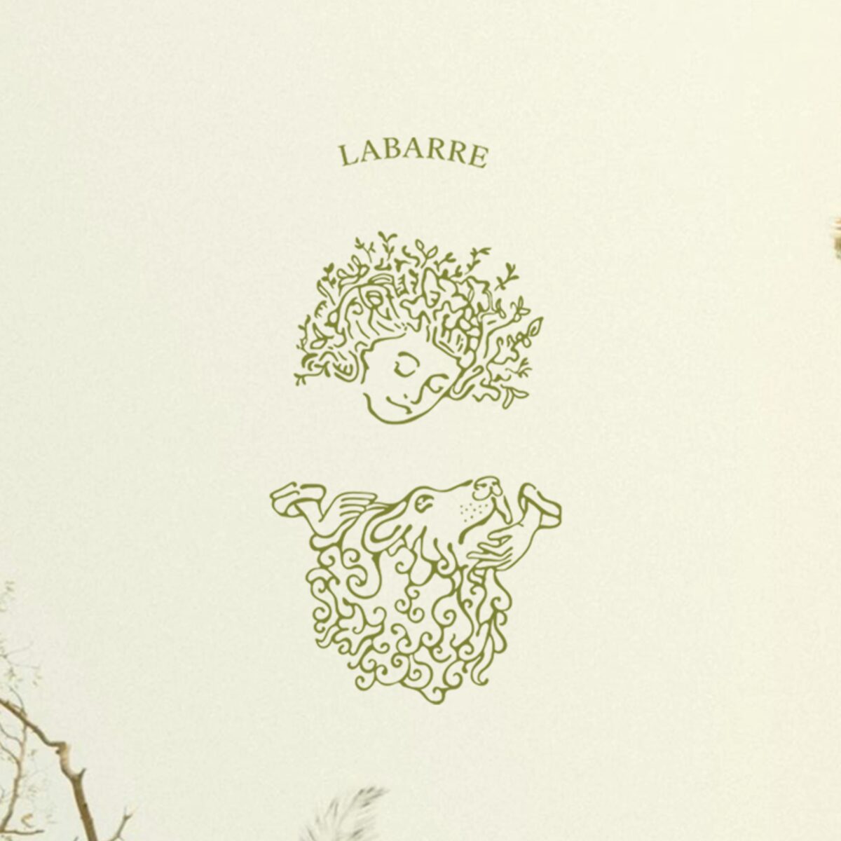 LaBarre — logo design and identity system